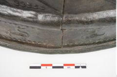Foto von Bronzerippenciste (NHMW-PRAE-024511)